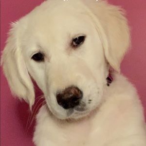 Meet your Posher, Jayne